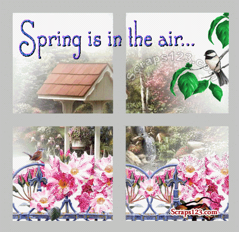 Happy Spring  Image - 5