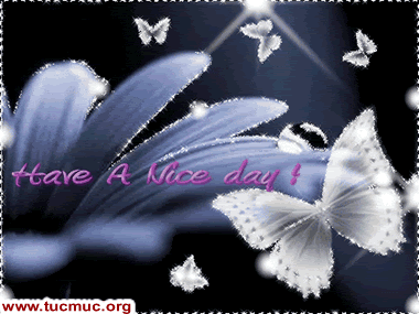 Nice Day Comments  Image - 4