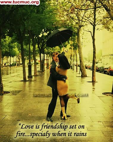 Romance Rain Comments 