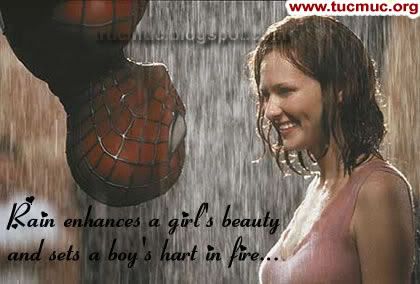 Romance Rain Scraps 