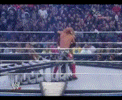 Money in the Bank