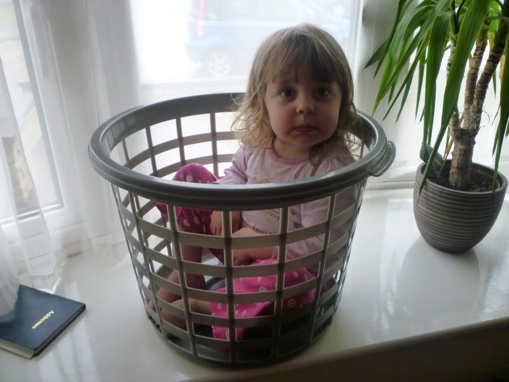 P1000152.jpg