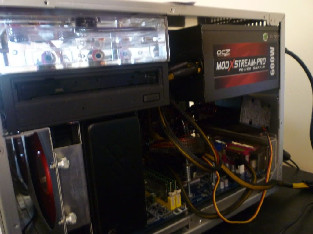 P1000210.jpg