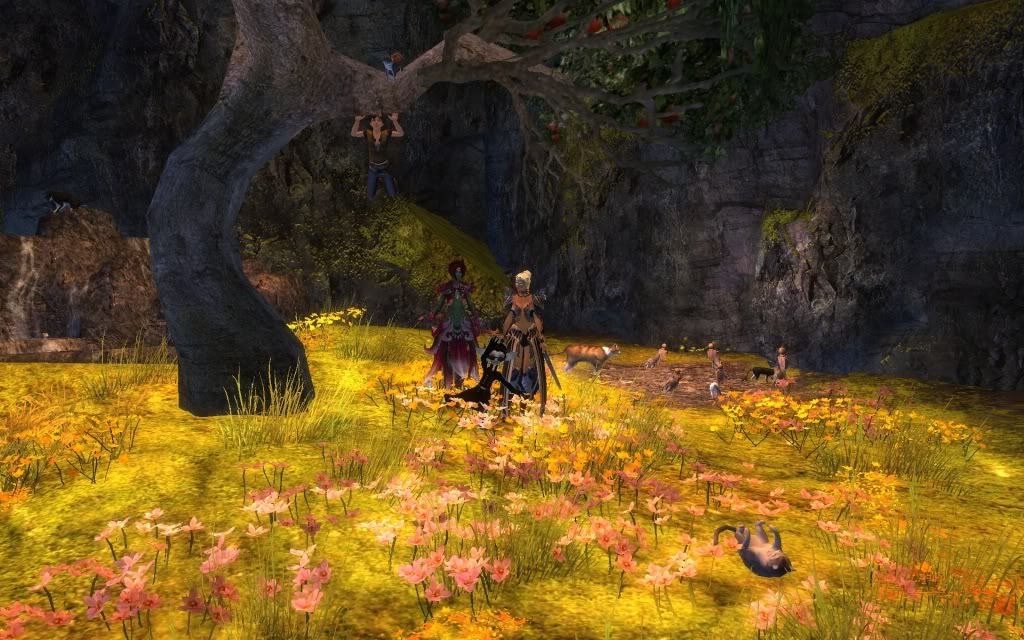 Posted Image