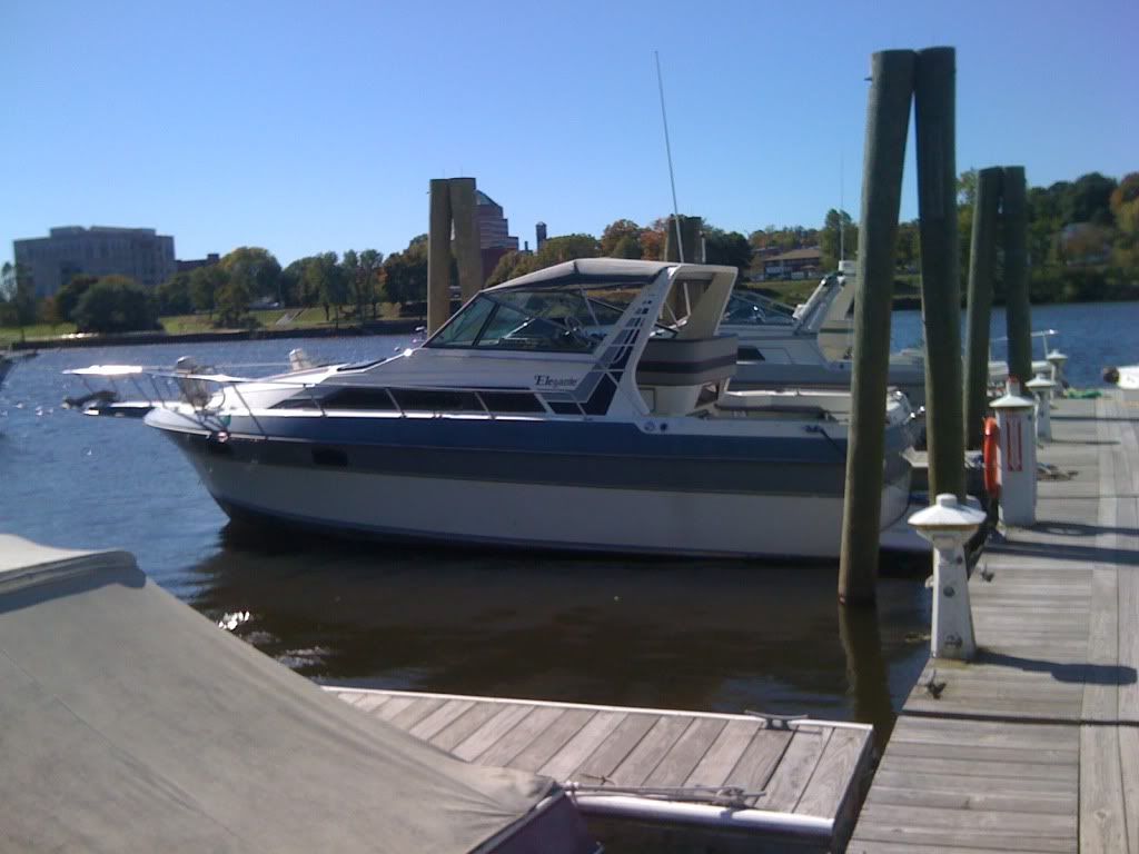 Winter2010003.jpg