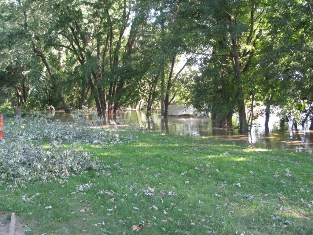 IMG_6113.jpg