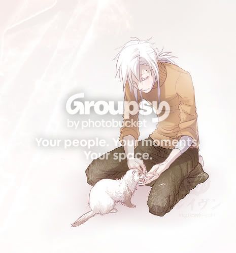 User Image