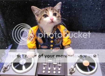 Cat Djing Photo by djtowi | Photobucket