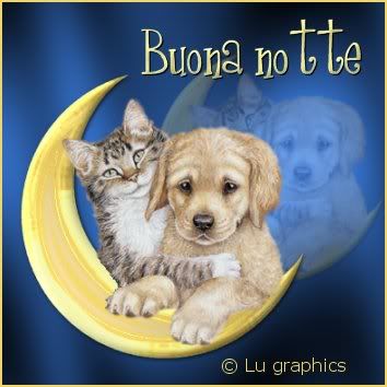 cuccioli_buona_notte_1b.jpg