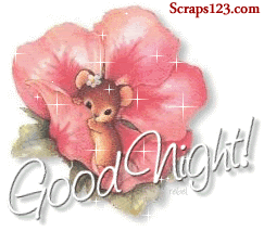 Images Good Night Status and Cover Pic